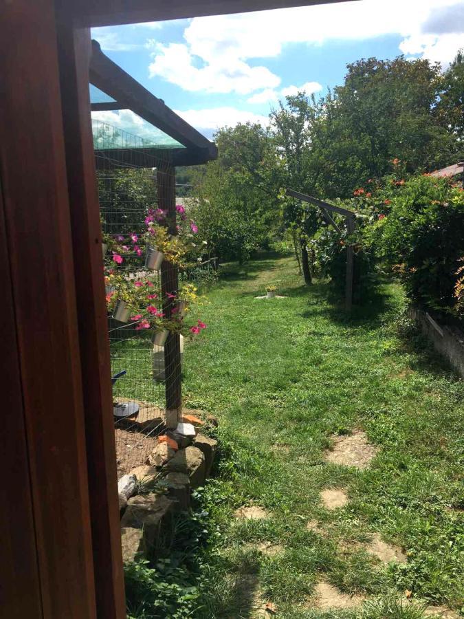 Appartement Adori à Ilirska Bistrica Extérieur photo